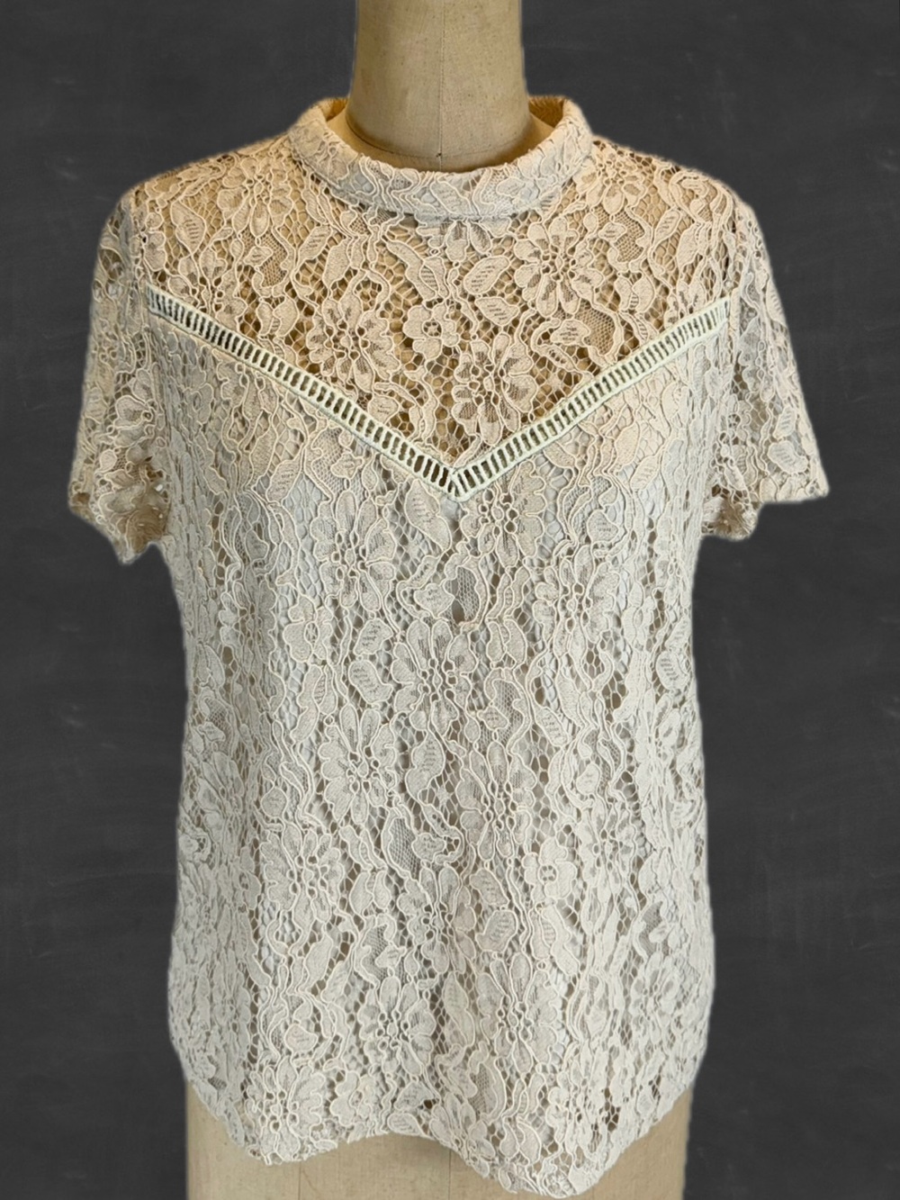 Cottage floral lace top short sleeve open back high neck ivory cottagecore fairy